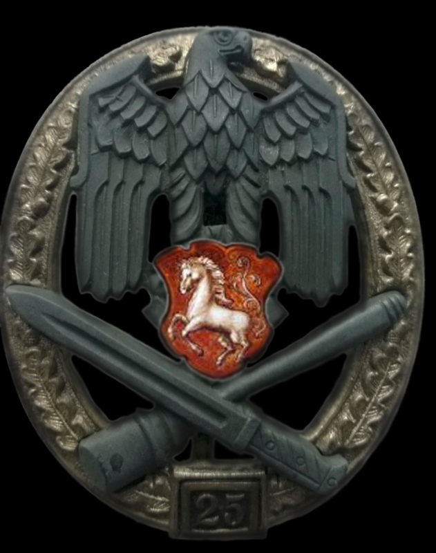 Allgemeines Sturmabzeichen Einsatzzahl 25