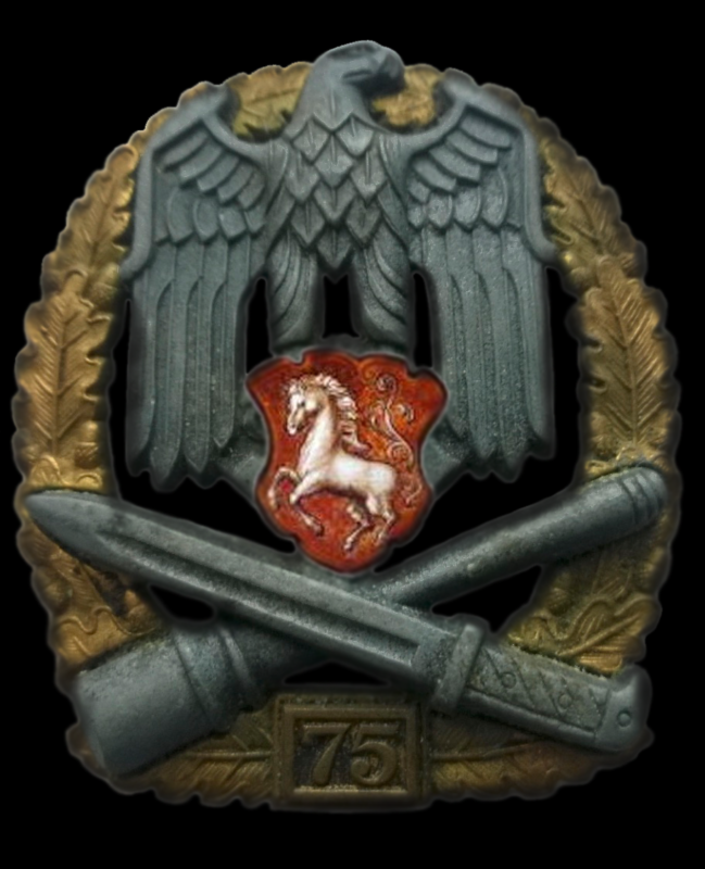 Allgemeines Sturmabzeichen Einsatzzahl 75